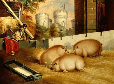 Drie varkens met kasteel op de achtergrond door English School